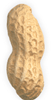 Peanut