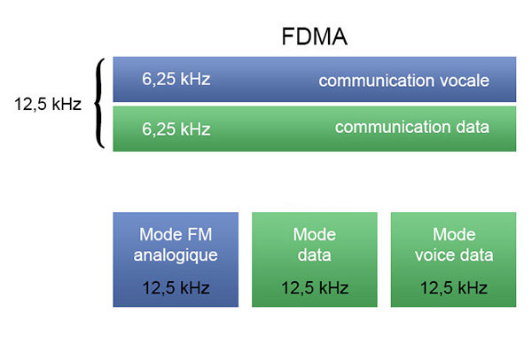 C4fm1
