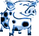 Small pig 2