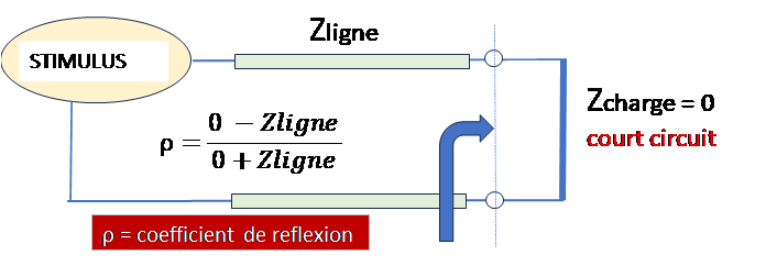 directivite vna 19