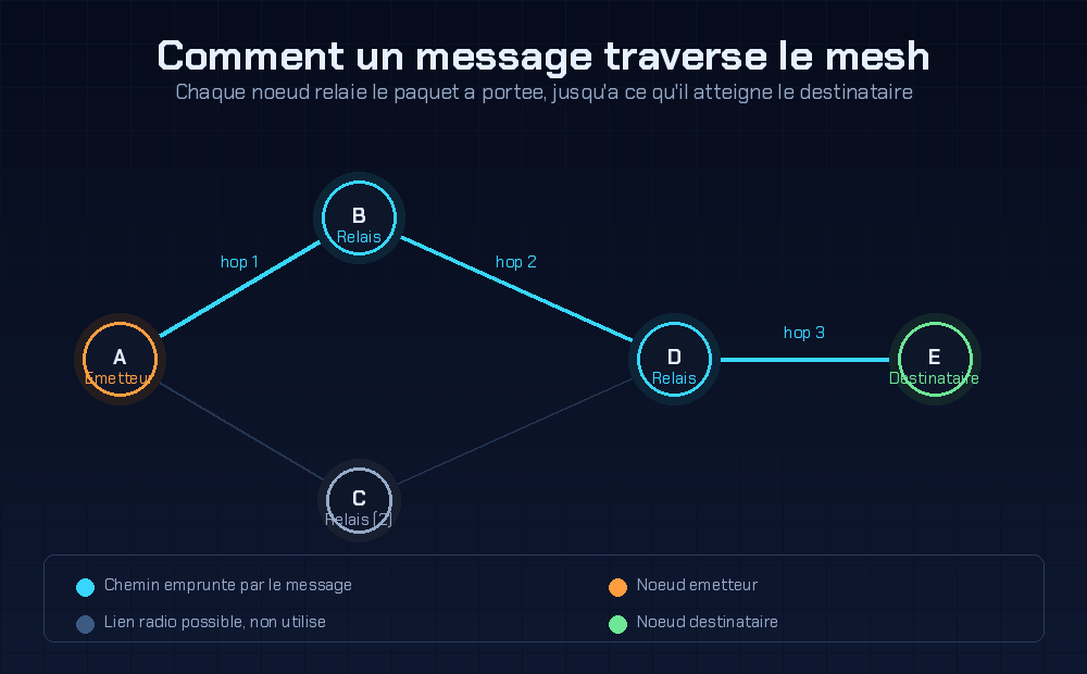 Meshtastic : le réseau radio qui communique sans antenne-relais ni internet 2 Comment un message traverse le mesh