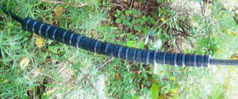 Antenne Long-Fil + Unun 9:1